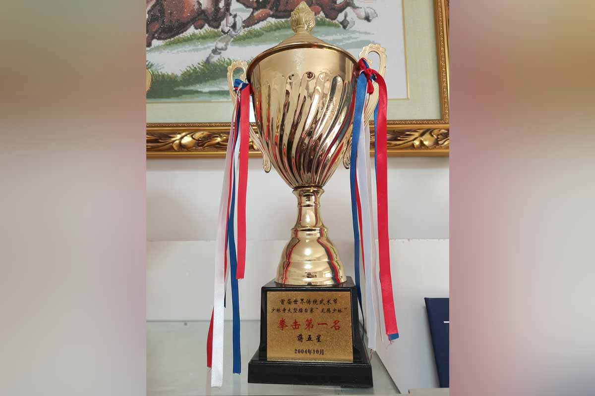 首屆世界傳統(tǒng)武術(shù)節(jié)少林寺大型擂臺(tái)賽“龍騰少林”拳擊第一名蔣五星